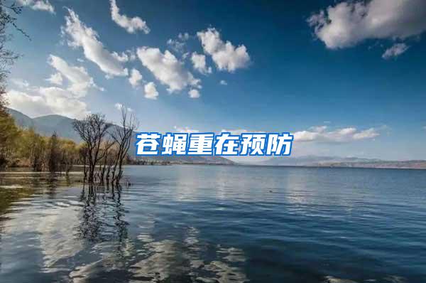 蒼蠅重在預防