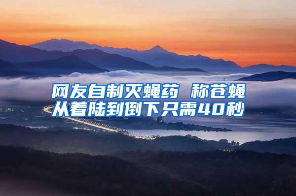 網(wǎng)友自制滅蠅藥 稱蒼蠅從著陸到倒下只需40秒