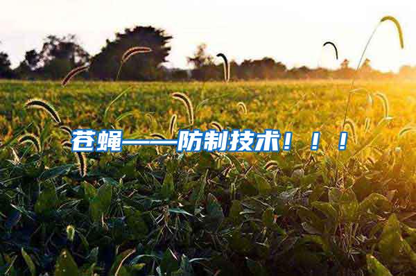 蒼蠅——防制技術(shù)！！！