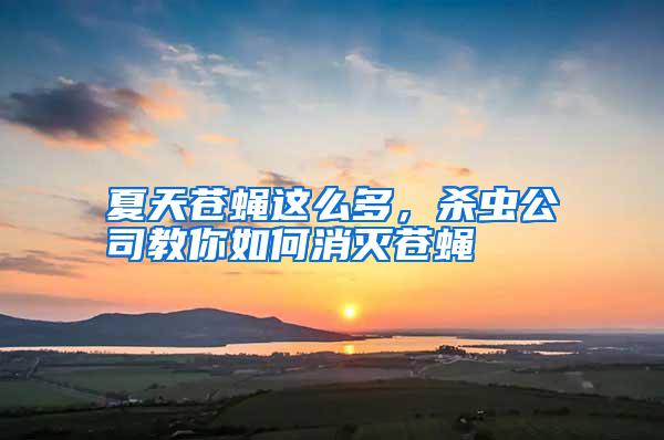 夏天蒼蠅這么多，殺蟲公司教你如何消滅蒼蠅