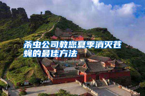殺蟲(chóng)公司教您夏季消滅蒼蠅的最佳方法