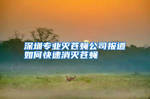 深圳專業(yè)滅蒼蠅公司報(bào)道如何快速消滅蒼蠅