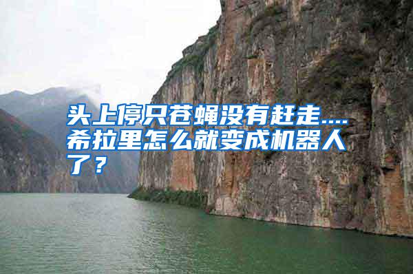 頭上停只蒼蠅沒有趕走....希拉里怎么就變成機器人了？