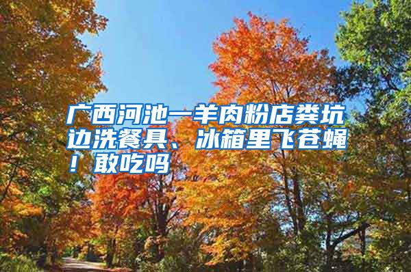 廣西河池一羊肉粉店糞坑邊洗餐具、冰箱里飛蒼蠅！敢吃嗎