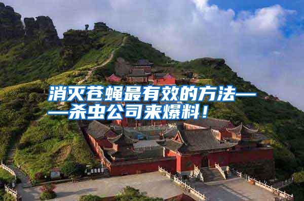消滅蒼蠅最有效的方法——?dú)⑾x公司來爆料！