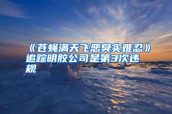 《蒼蠅滿天飛惡臭實難忍》追蹤明膠公司是第3次違規