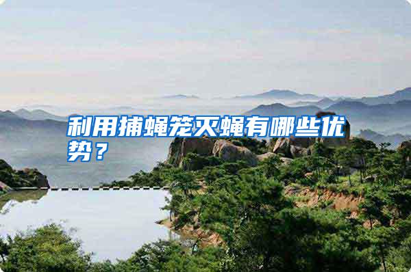利用捕蠅籠滅蠅有哪些優勢？