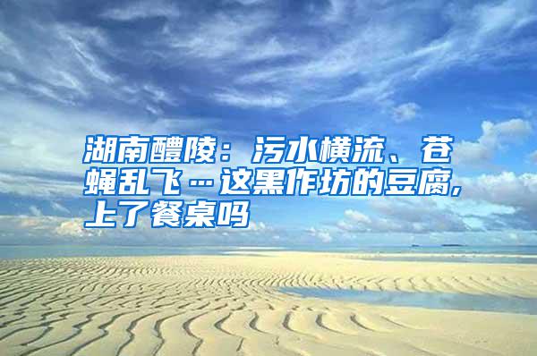 湖南醴陵：污水橫流、蒼蠅亂飛…這黑作坊的豆腐,上了餐桌嗎