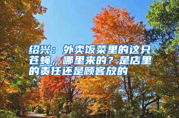 紹興：外賣飯菜里的這只蒼蠅，哪里來的？是店里的責任還是顧客放的