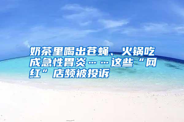 奶茶里喝出蒼蠅、火鍋吃成急性胃炎……這些“網(wǎng)紅”店頻被投訴