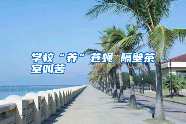 學(xué)校“養(yǎng)”蒼蠅 隔壁茶室叫苦