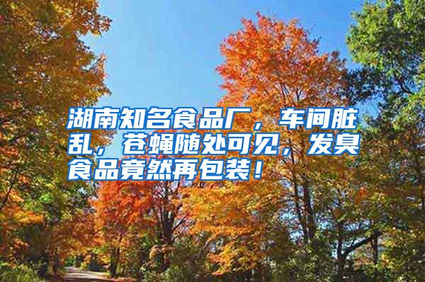 湖南知名食品廠，車間臟亂，蒼蠅隨處可見，發(fā)臭食品竟然再包裝！
