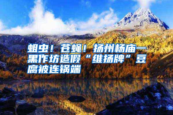 蛆蟲！蒼蠅！揚州楊廟一黑作坊造假“維揚牌”豆腐被連鍋端