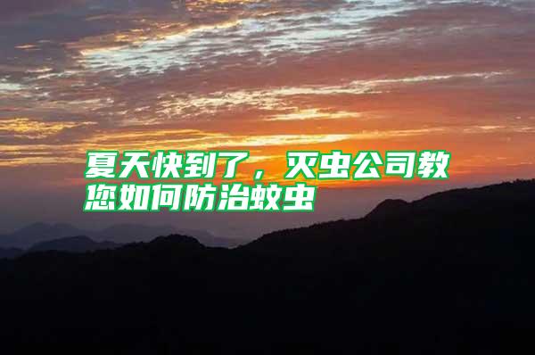 夏天快到了，滅蟲公司教您如何防治蚊蟲