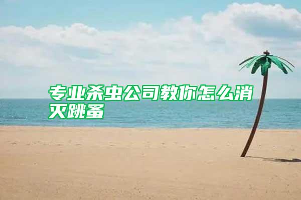 專業殺蟲公司教你怎么消滅跳蚤