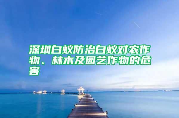 深圳白蟻防治白蟻對農(nóng)作物、林木及園藝作物的危害