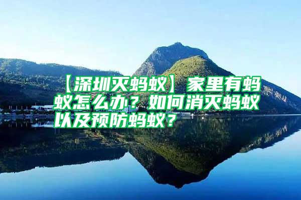 【深圳滅螞蟻】家里有螞蟻怎么辦？如何消滅螞蟻以及預防螞蟻？