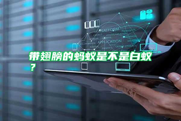 帶翅膀的螞蟻是不是白蟻？