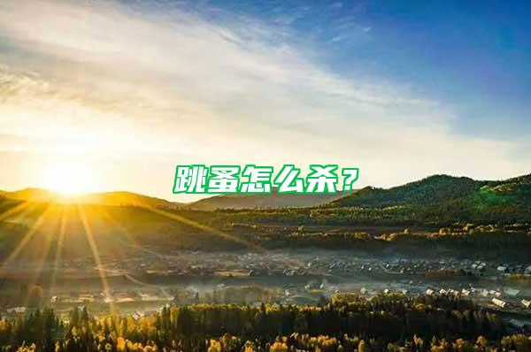 跳蚤怎么殺？