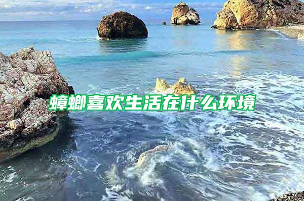 蟑螂喜歡生活在什么環境