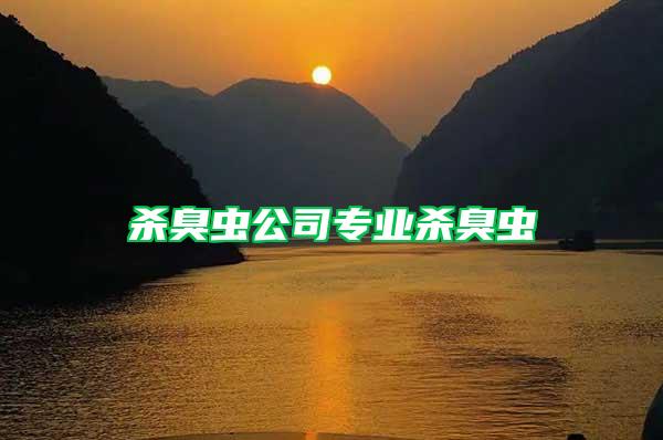 殺臭蟲(chóng)公司專業(yè)殺臭蟲(chóng)