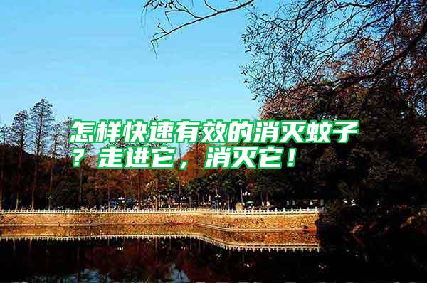 怎樣快速有效的消滅蚊子？走進它，消滅它！