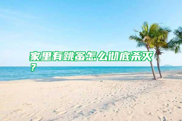 家里有跳蚤怎么徹底殺滅？