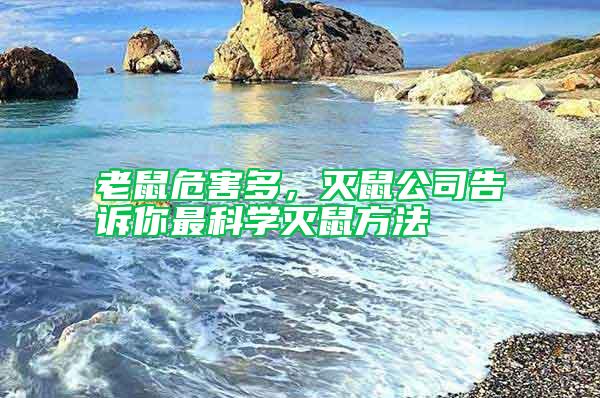 老鼠危害多，滅鼠公司告訴你最科學滅鼠方法