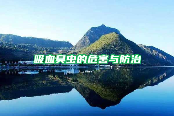 吸血臭蟲的危害與防治