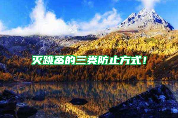 滅跳蚤的三類防止方式！