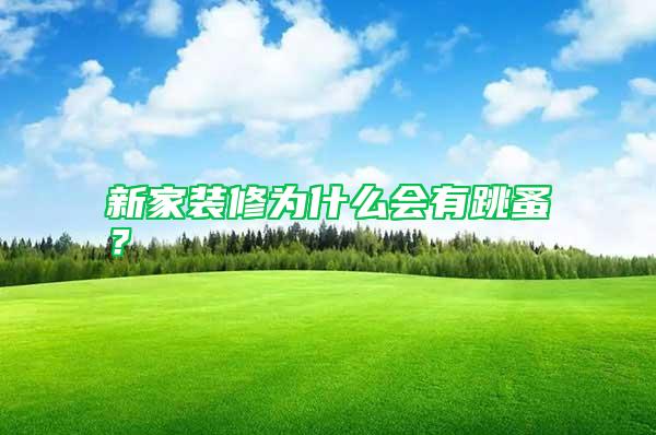 新家裝修為什么會有跳蚤？