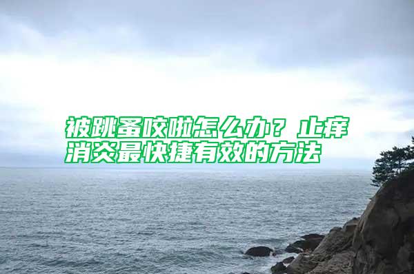 被跳蚤咬啦怎么辦？止癢消炎最快捷有效的方法