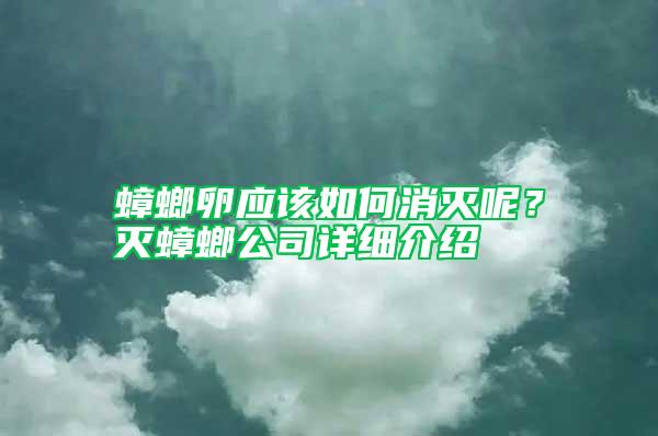 蟑螂卵應該如何消滅呢？滅蟑螂公司詳細介紹