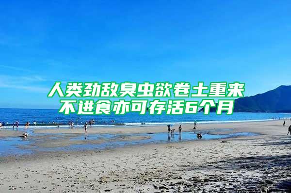 人類勁敵臭蟲欲卷土重來 不進食亦可存活6個月