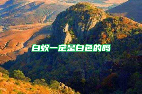 白蟻一定是白色的嗎