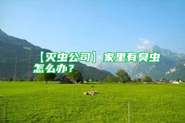 【滅蟲公司】家里有臭蟲怎么辦？