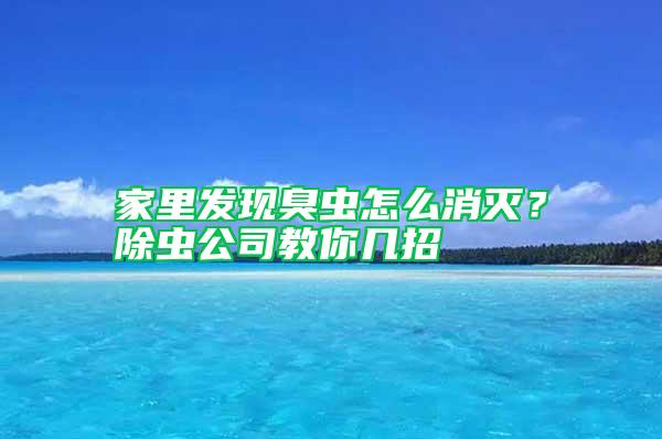 家里發(fā)現(xiàn)臭蟲怎么消滅？除蟲公司教你幾招