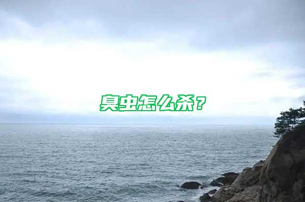 臭蟲(chóng)怎么殺？