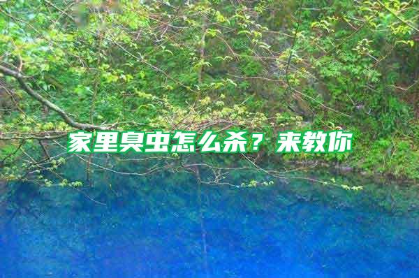 家里臭蟲怎么殺？來(lái)教你