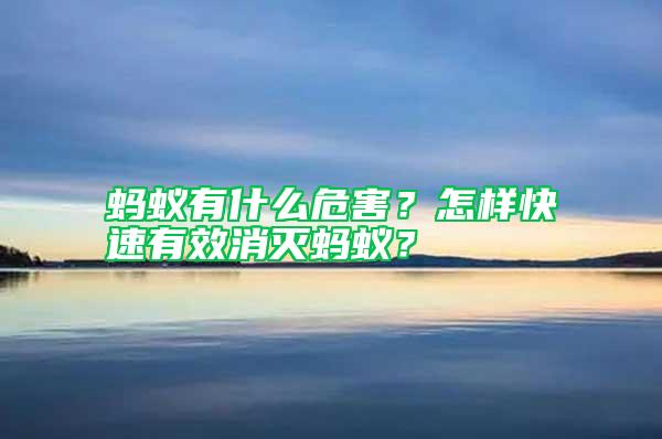 螞蟻有什么危害？怎樣快速有效消滅螞蟻？