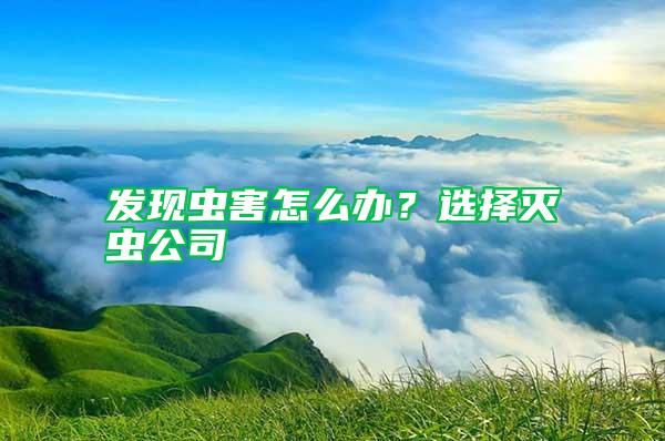 發(fā)現(xiàn)蟲害怎么辦？選擇滅蟲公司