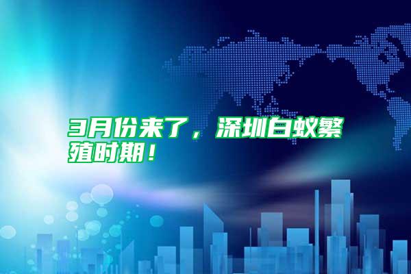 3月份來了，深圳白蟻繁殖時期！