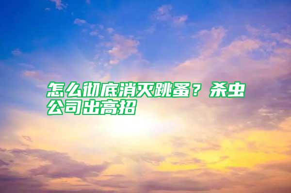 怎么徹底消滅跳蚤？殺蟲公司出高招