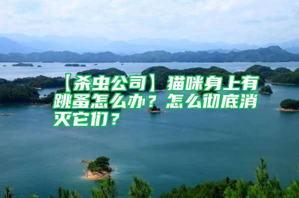 【殺蟲(chóng)公司】貓咪身上有跳蚤怎么辦？怎么徹底消滅它們？