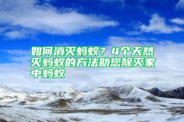 如何消滅螞蟻？4個(gè)天然滅螞蟻的方法助您除滅家中螞蟻