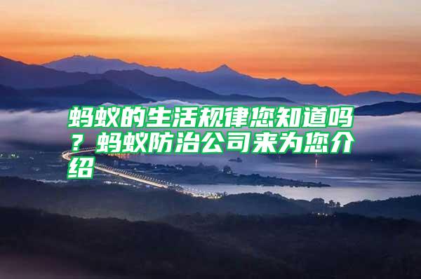 螞蟻的生活規(guī)律您知道嗎？螞蟻防治公司來(lái)為您介紹