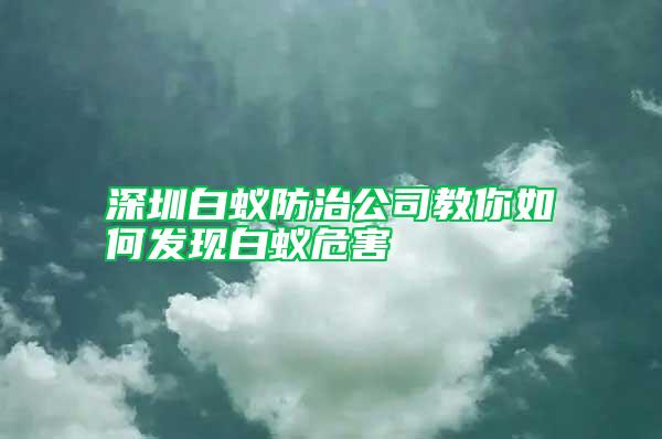 深圳白蟻防治公司教你如何發現白蟻危害