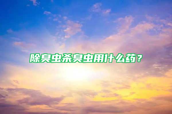 除臭蟲殺臭蟲用什么藥？