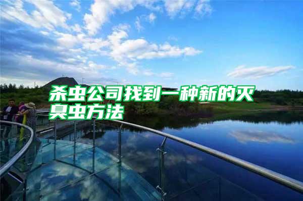 殺蟲(chóng)公司找到一種新的滅臭蟲(chóng)方法