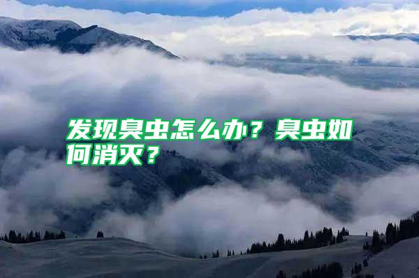 發(fā)現(xiàn)臭蟲怎么辦？臭蟲如何消滅？